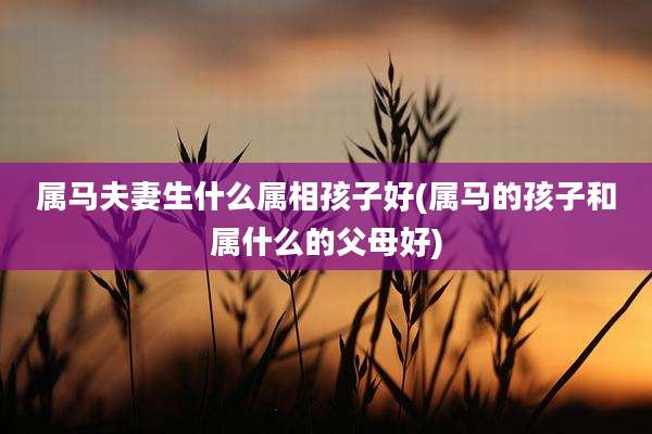 属马夫妻生什么属相孩子好(属马的孩子和属什么的父母好)