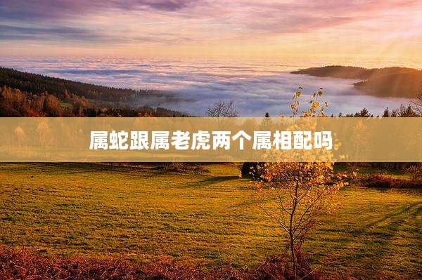 属蛇跟属老虎两个属相配吗