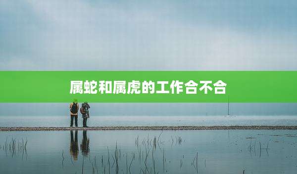 属蛇和属虎的工作合不合