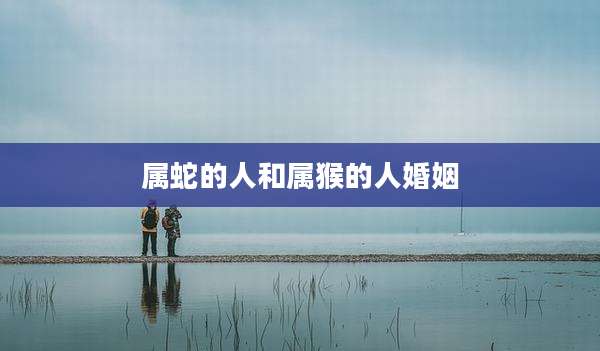 属蛇的人和属猴的人婚姻