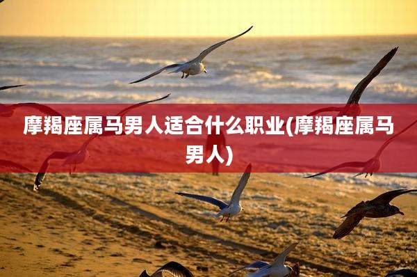 摩羯座属马男人适合什么职业(摩羯座属马男人)