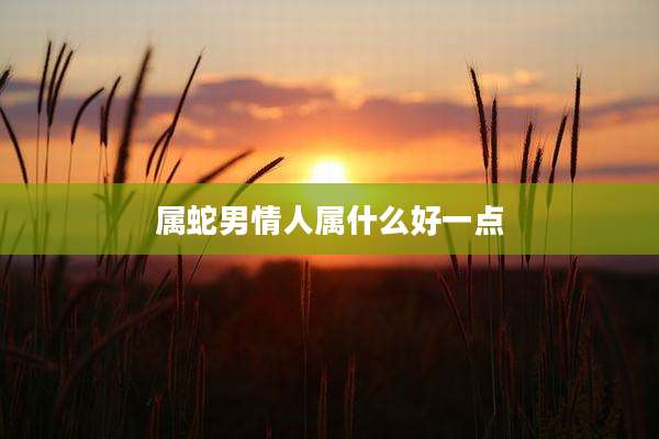 属蛇男情人属什么好一点