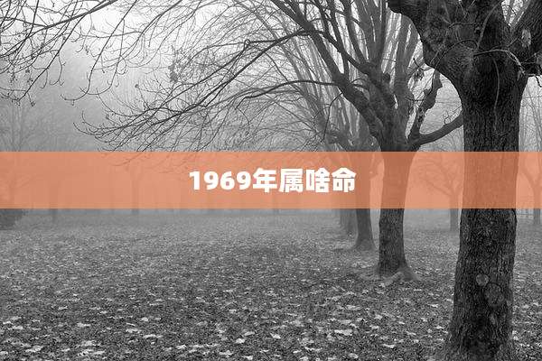 1969年属啥命