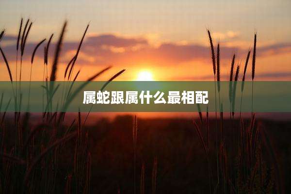 属蛇跟属什么最相配