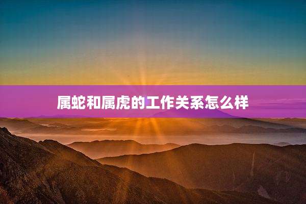 属蛇和属虎的工作关系怎么样