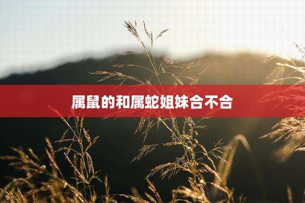 属鼠的和属蛇姐妹合不合