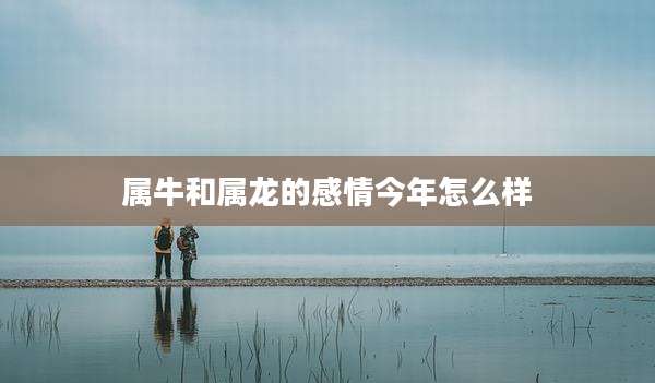 属牛和属龙的感情今年怎么样
