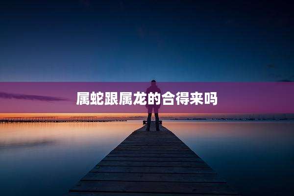 属蛇跟属龙的合得来吗