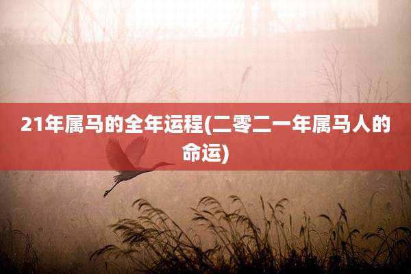 21年属马的全年运程(二零二一年属马人的命运)