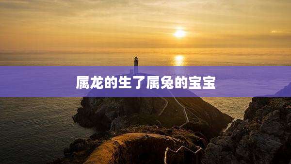 属龙的生了属兔的宝宝