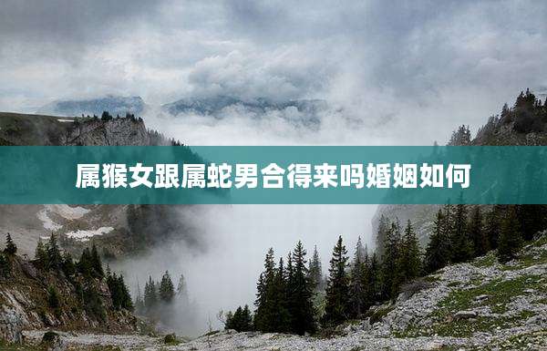 属猴女跟属蛇男合得来吗婚姻如何