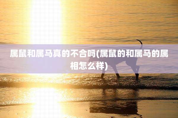 属鼠和属马真的不合吗(属鼠的和属马的属相怎么样)