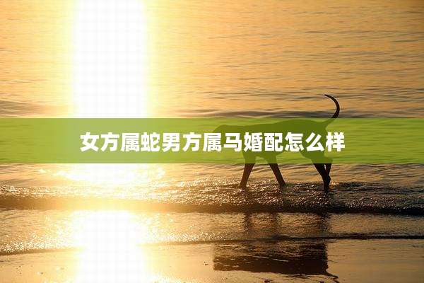 女方属蛇男方属马婚配怎么样