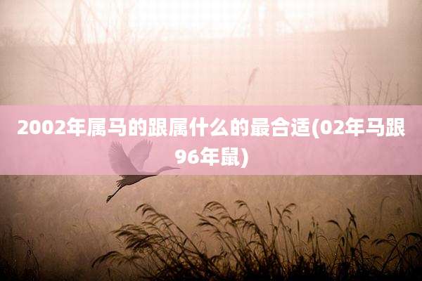 2002年属马的跟属什么的最合适(02年马跟96年鼠)