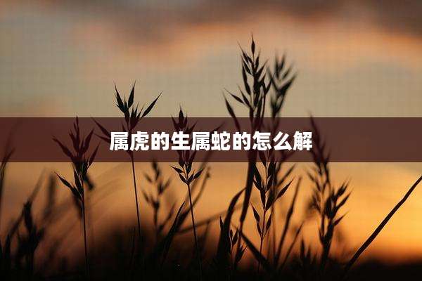 属虎的生属蛇的怎么解