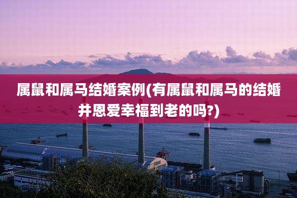 属鼠和属马结婚案例(有属鼠和属马的结婚并恩爱幸福到老的吗?)