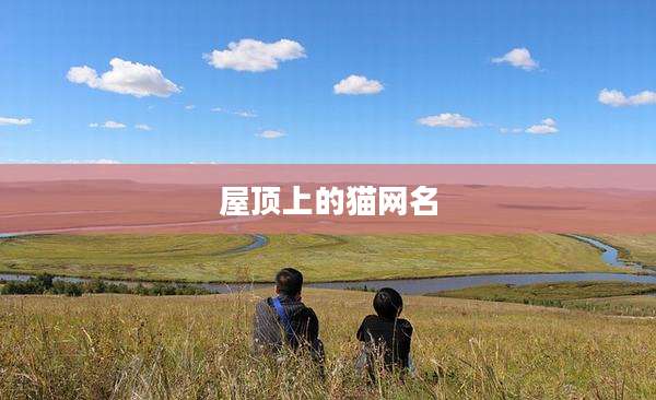屋顶上的猫网名