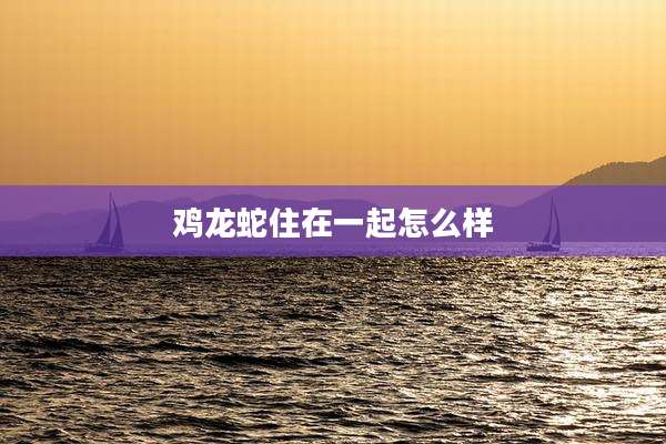 鸡龙蛇住在一起怎么样