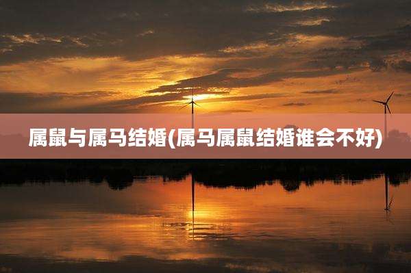 属鼠与属马结婚(属马属鼠结婚谁会不好)