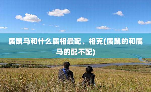 属鼠马和什么属相最配、相克(属鼠的和属马的配不配)