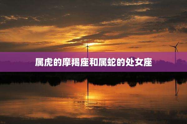 属虎的摩羯座和属蛇的处女座