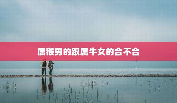 属猴男的跟属牛女的合不合