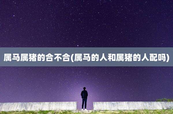 属马属猪的合不合(属马的人和属猪的人配吗)