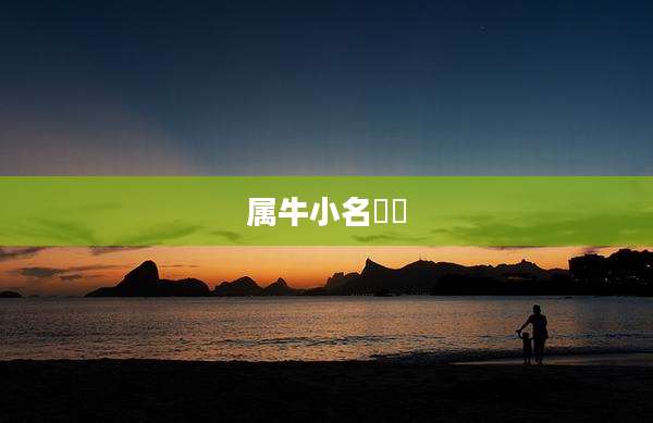 属牛小名犇犇