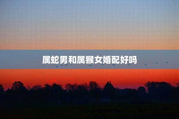 属蛇男和属猴女婚配好吗