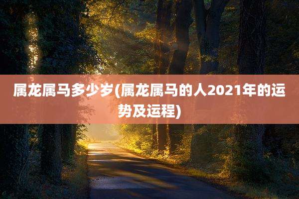 属龙属马多少岁(属龙属马的人2021年的运势及运程)