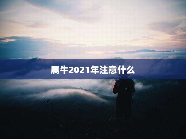 属牛2021年注意什么