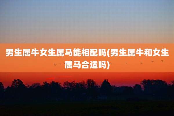 男生属牛女生属马能相配吗(男生属牛和女生属马合适吗)