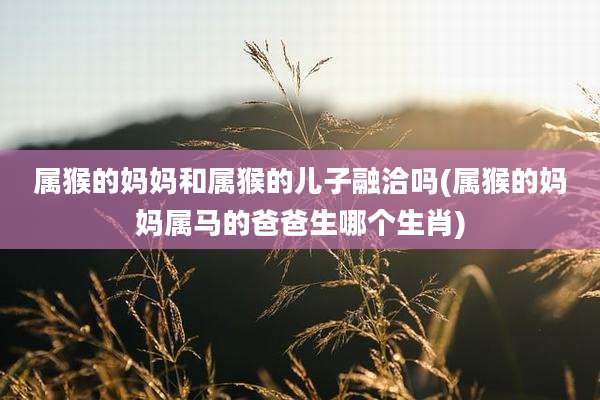 属猴的妈妈和属猴的儿子融洽吗(属猴的妈妈属马的爸爸生哪个生肖)