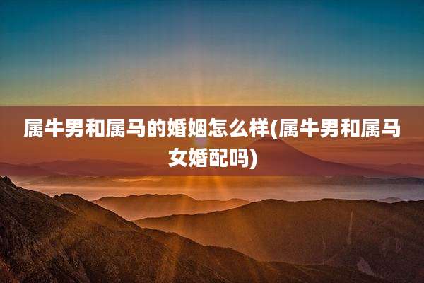 属牛男和属马的婚姻怎么样(属牛男和属马女婚配吗)
