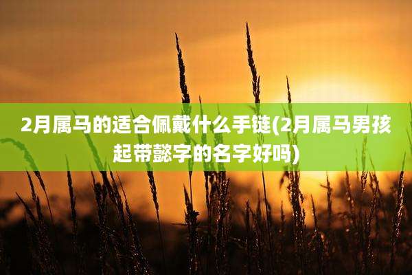 2月属马的适合佩戴什么手链(2月属马男孩起带懿字的名字好吗)