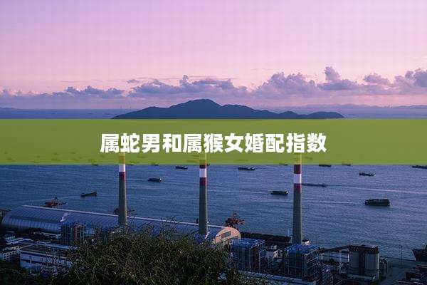 属蛇男和属猴女婚配指数