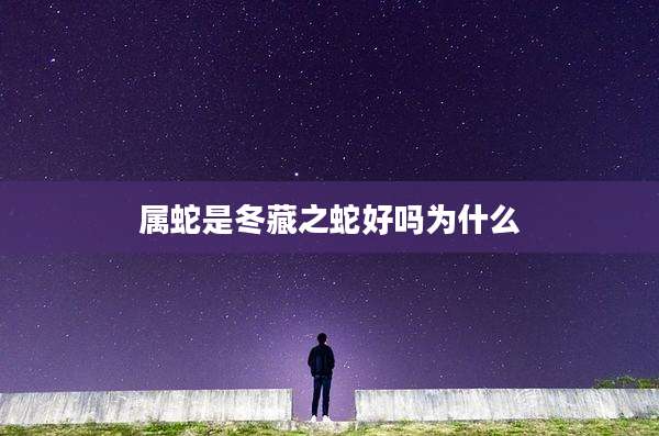 属蛇是冬藏之蛇好吗为什么