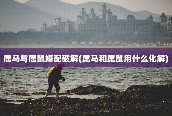 属马与属鼠婚配破解(属马和属鼠用什么化解)