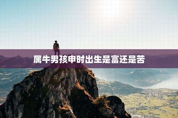 属牛男孩申时出生是富还是苦