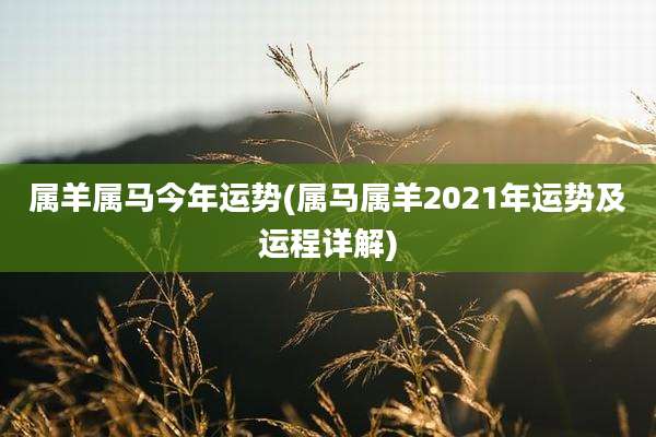 属羊属马今年运势(属马属羊2021年运势及运程详解)