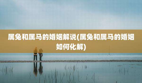 属兔和属马的婚姻解说(属兔和属马的婚姻如何化解)