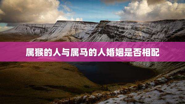 属猴的人与属马的人婚姻是否相配