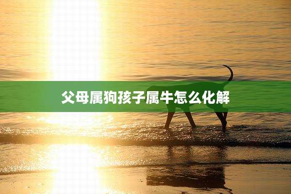 父母属狗孩子属牛怎么化解