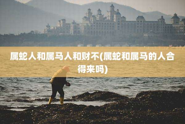 属蛇人和属马人和财不(属蛇和属马的人合得来吗)
