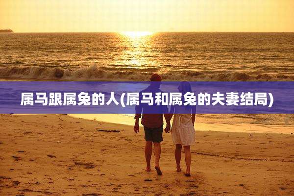 属马跟属兔的人(属马和属兔的夫妻结局)