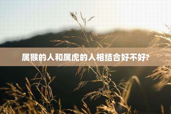 属猴的人和属虎的人相结合好不好?