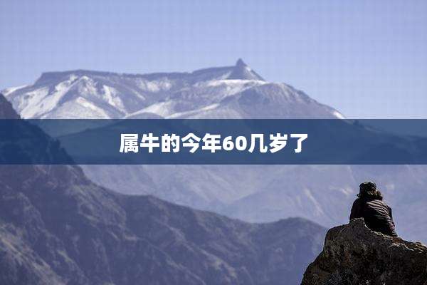 属牛的今年60几岁了