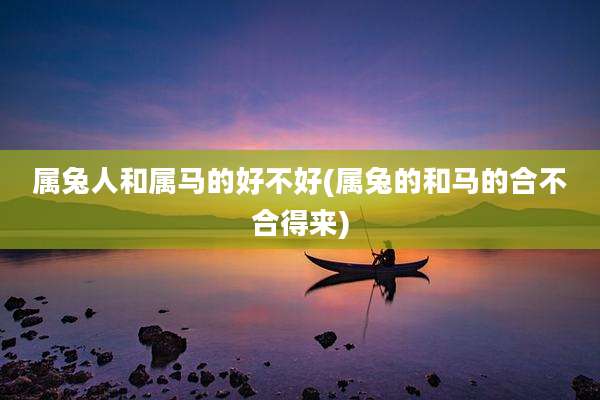属兔人和属马的好不好(属兔的和马的合不合得来)