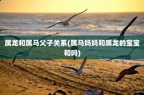 属龙和属马父子关系(属马妈妈和属龙的宝宝和吗)