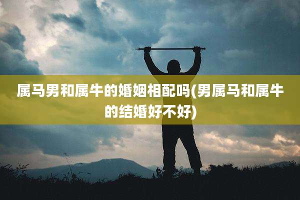 属马男和属牛的婚姻相配吗(男属马和属牛的结婚好不好)